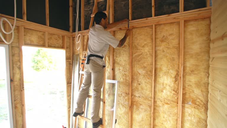 Best Eco-Friendly or Green Insulation Solutions  in Humble, TX